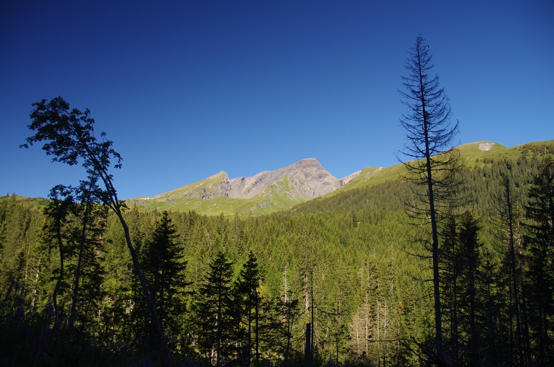 24h Hike Mammut_Ochsner 'Meiringen_Grosse Scheidegg 1962m' 18_08_2012 (78).JPG